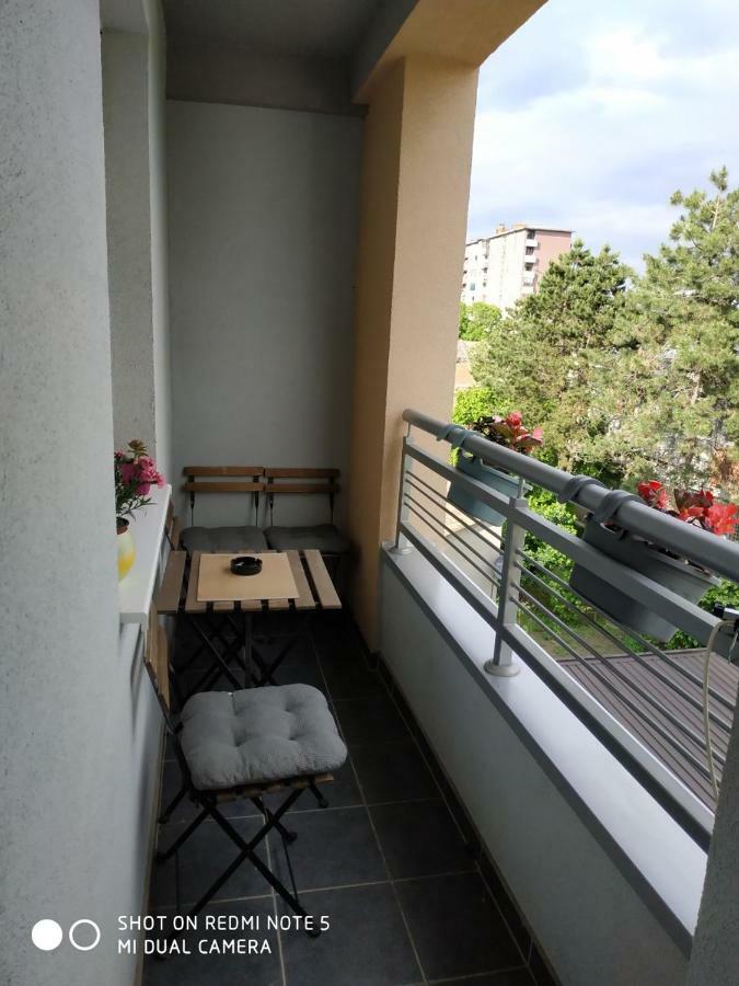 Apartment Jelena Зренянин Экстерьер фото